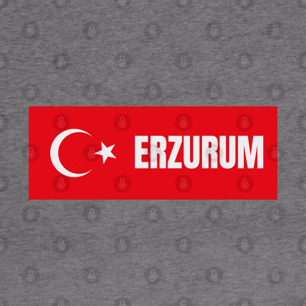 Erzurum City in Turkish Flag by aybe7elf